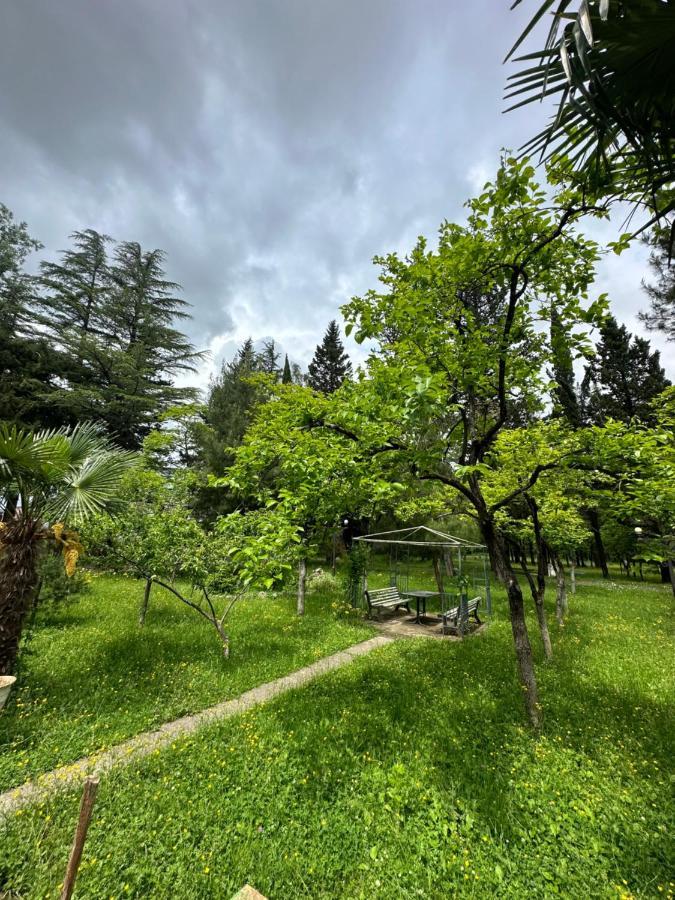 Imeri Park Hotel Koetaisi Buitenkant foto