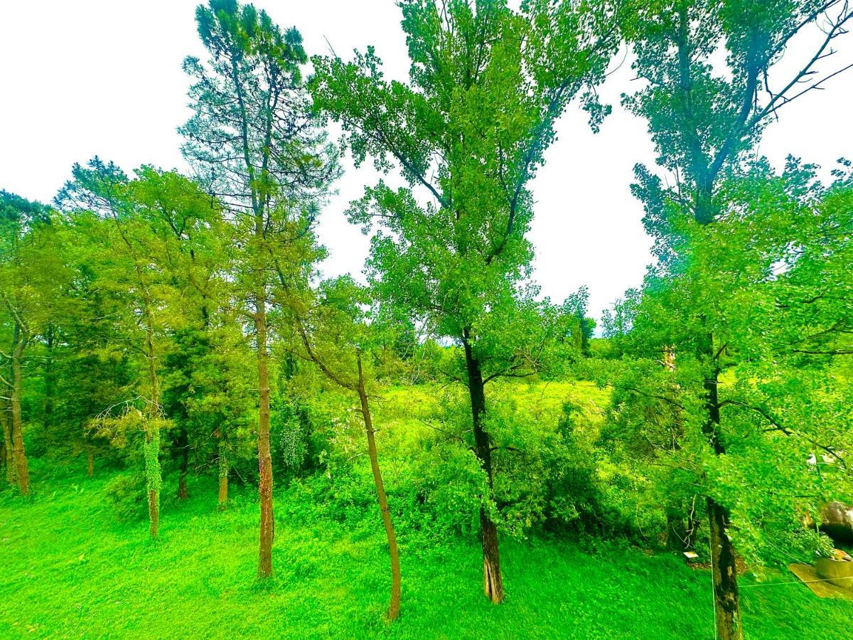 Imeri Park Hotel Koetaisi Buitenkant foto