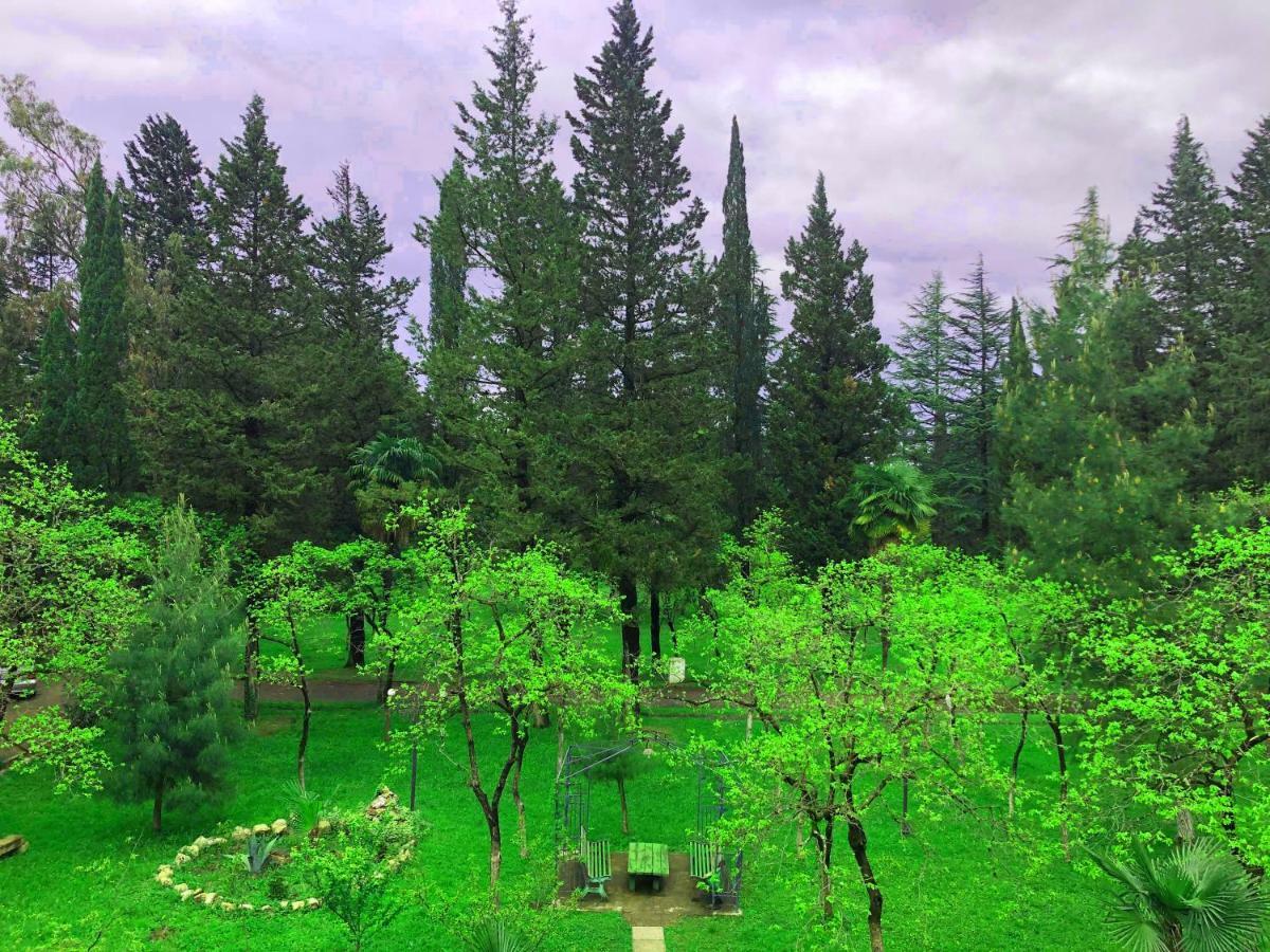 Imeri Park Hotel Koetaisi Buitenkant foto